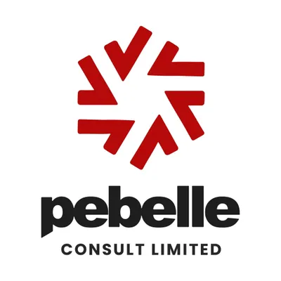 pebelleconsultlimited.com's icon