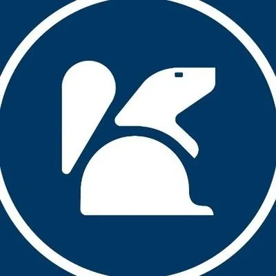 pedreiragroup.com's icon