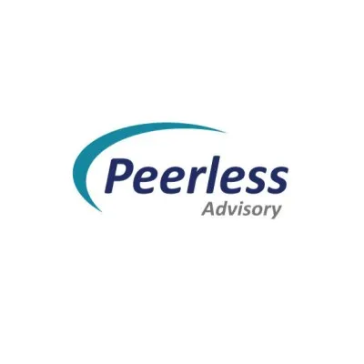 peerlessadv.com's icon