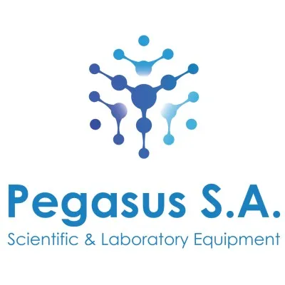 pegasus-united.com's icon