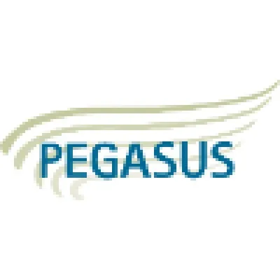 pegasusatx.com's icon