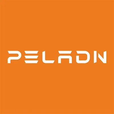 peladn.com's icon