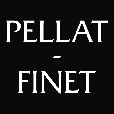 Pellatfinet's icon