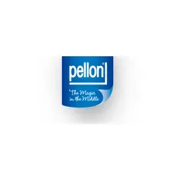 pellonideas.com's icon