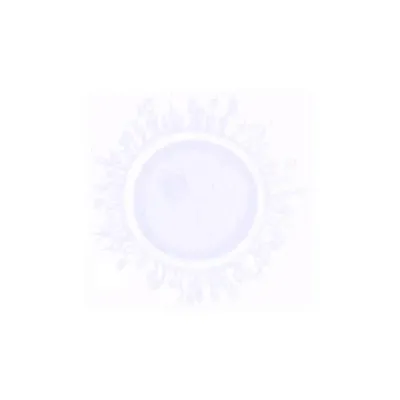 Pellucida's brand icon