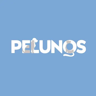 pelunos.com's icon