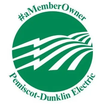 pemdunk.com's icon