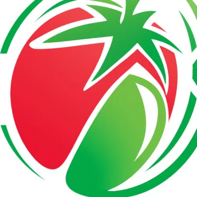 pepesto.com's icon