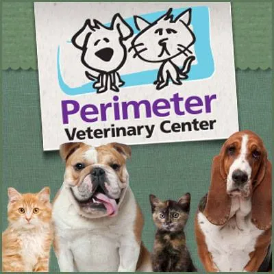perimeterveterinarycenter.com's icon