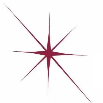 perspectivasolutions.com's icon