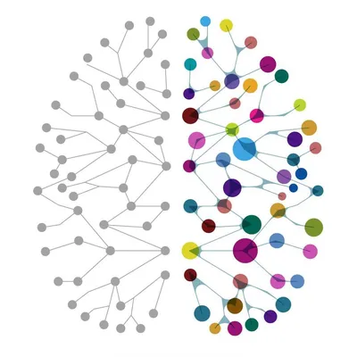 perthbraincentre.com.au's icon