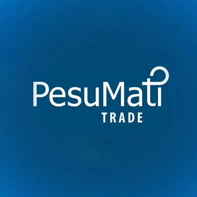 pesumati.ee's icon