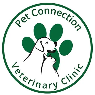 petconnection.ae's icon