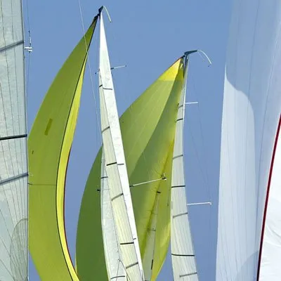 petersonsims.com's icon