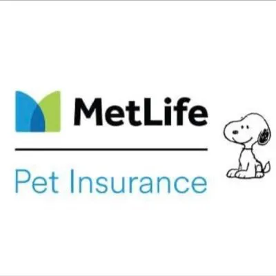 petfirst.com's icon