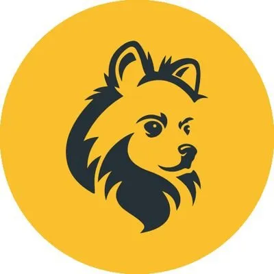 petmerize.ie's icon