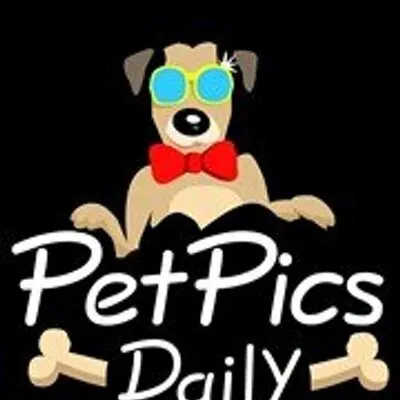petpicsdaily.com's icon