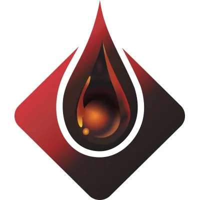 petrolead.net's icon