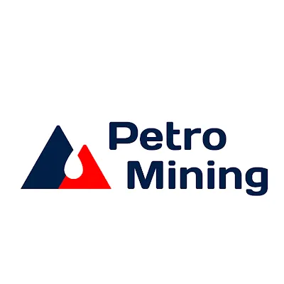 petromining.kz's icon