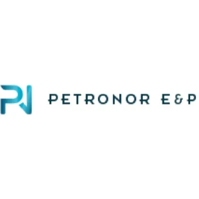 petronorep.com's icon