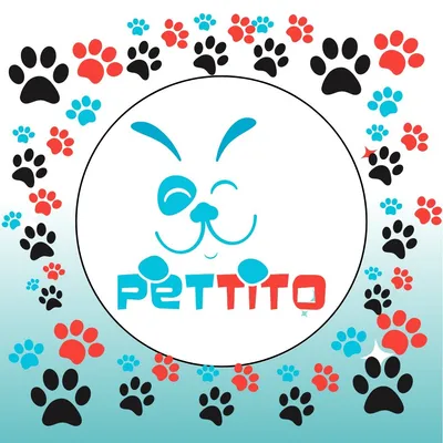 pettitodallas.com's icon