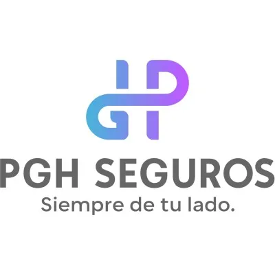 pghseguros.com's icon