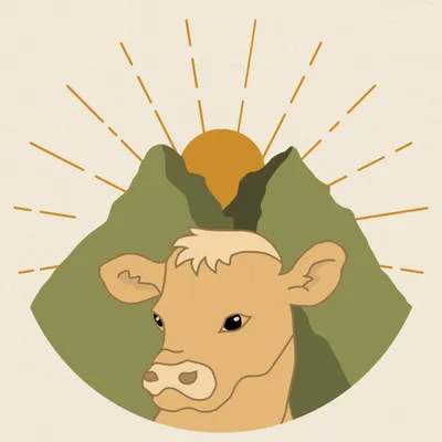 phajcha.com's icon