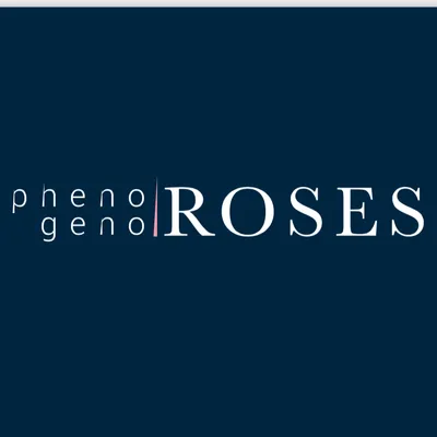 phenogenoroses.com's icon
