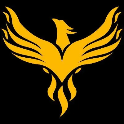 phoenix-awp.de's icon