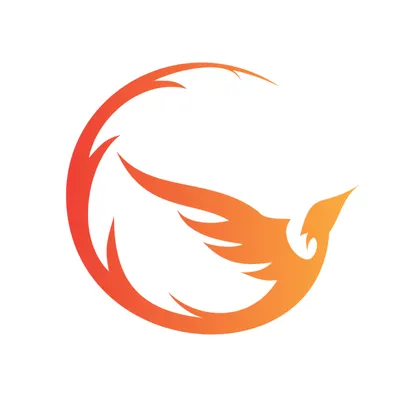 phoenix-payments.com's icon