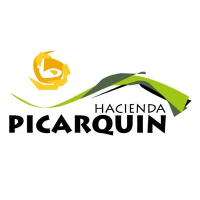picarquin.cl's icon