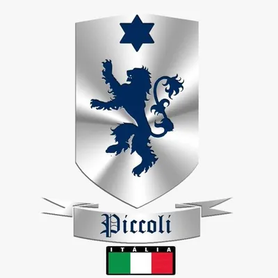piccolimotors.com's icon