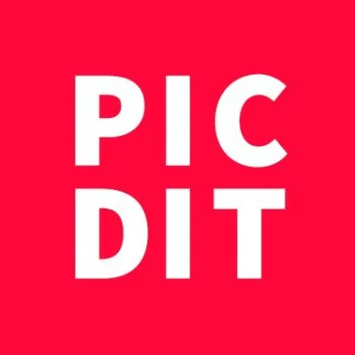 picdit.net's icon