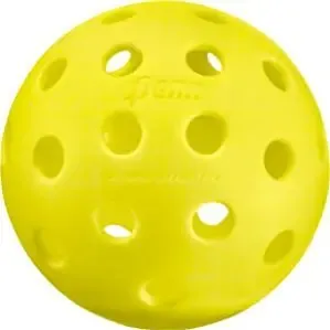 pickleball365.org's icon