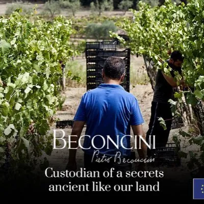 pietrobeconcini.com's icon