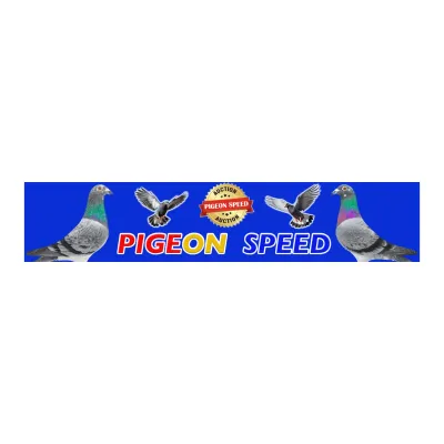 Pigeon Speed's brand icon