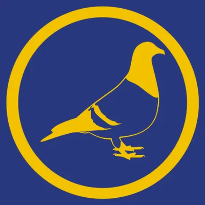 pigeonfeed.be's icon