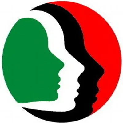pii-diaspora.org's icon
