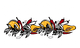 Pikante / rhythm, spice and everything heiß