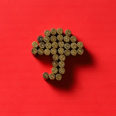 piko.rocks's icon