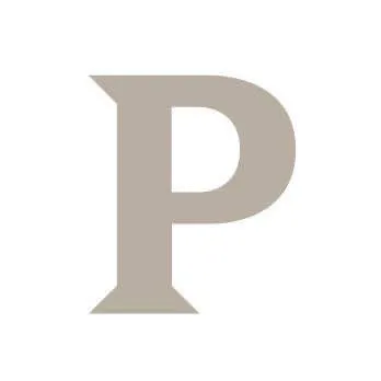 pilares.no's icon