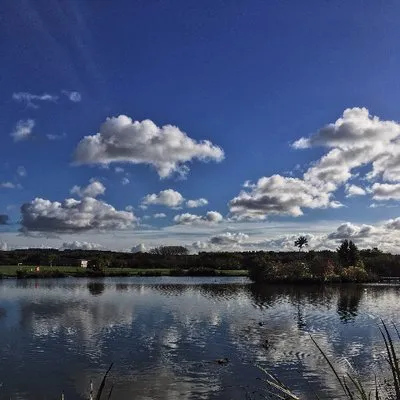 pillatonhallfarm.co.uk's icon