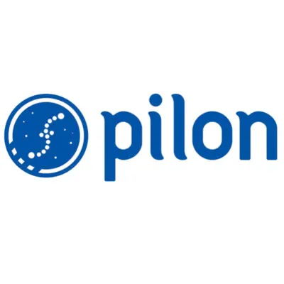 pilon.sg's icon
