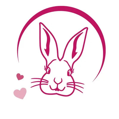 pinkrabbit-passau.de's icon
