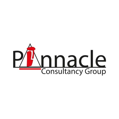 pinnacle-bd.com's icon