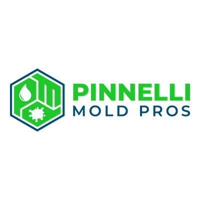 pinnellimoldpros.com's icon