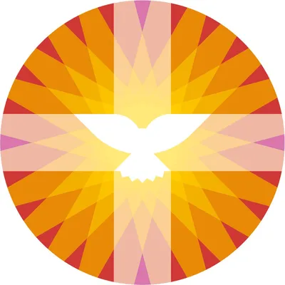 pkn.nl's icon