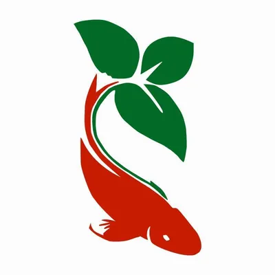 plantasacuarios.com's icon