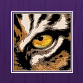 plaquemineladentist.com's icon