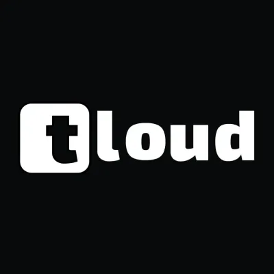 playsgot.com's brand icon